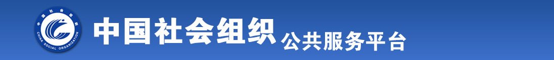 日操欧美日本B全国社会组织信息查询